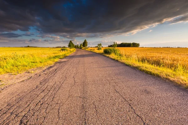 Vecchia strada asfaltata — Foto Stock