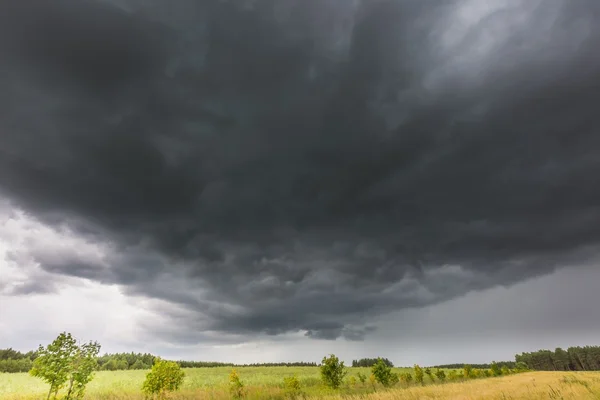 Sommerlandschaft mit Gewitterhimmel über Roggenfeld — Stockfoto