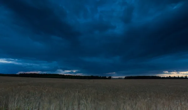 Zomer landschap met storm sky over rogge veld — Stockfoto