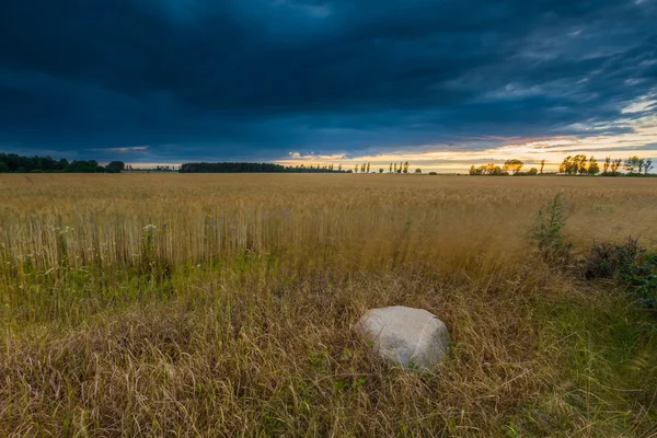 Burzliwy niebo nad pole — Zdjęcie stockowe