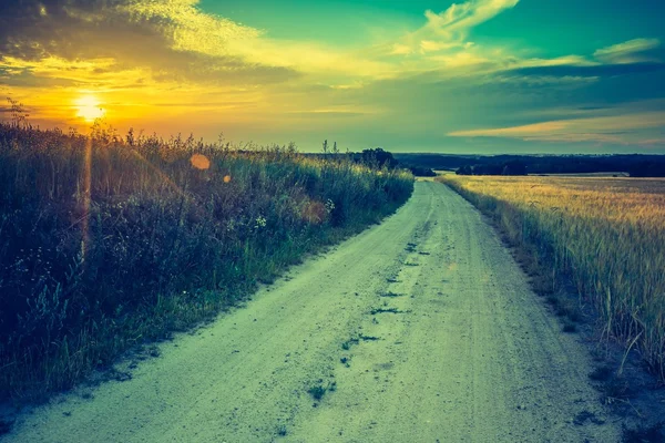 Puesta de sol sobre el campo de maíz — Foto de Stock