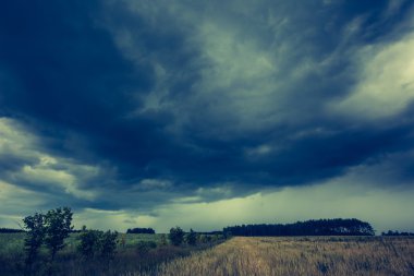 Mısır alanın üzerinde fırtınalı bulutlar
