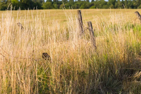 Old destroyed fence — Stock Photo, Image