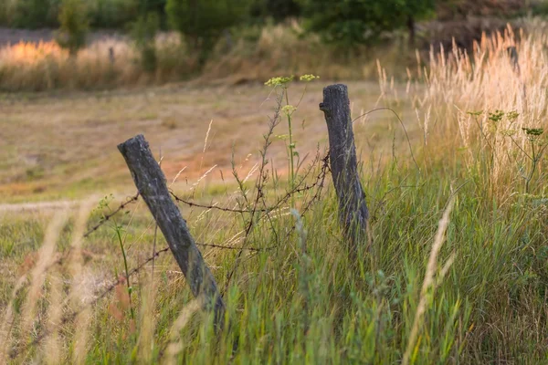 Old destroyed fence — Stock Photo, Image