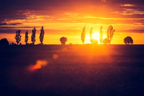 Pulserande solnedgång över fältet — Stockfoto
