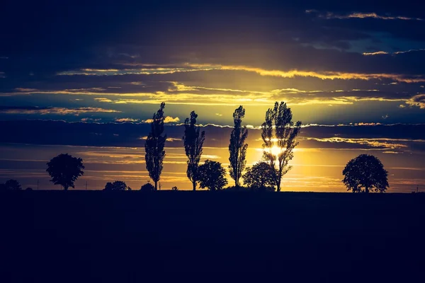 Levendige zonsondergang over veld — Stockfoto