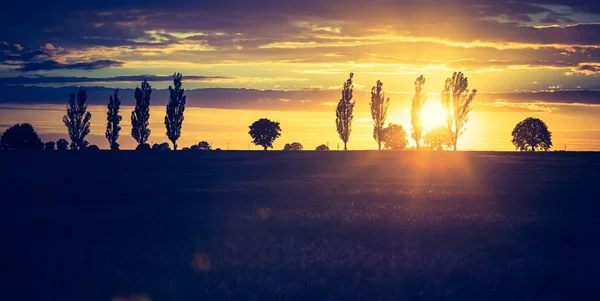 Levendige zonsondergang over veld — Stockfoto