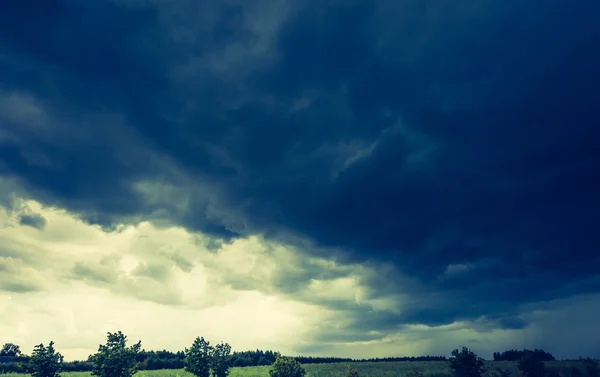 Stürmische Wolken über Maisfeld — Stockfoto