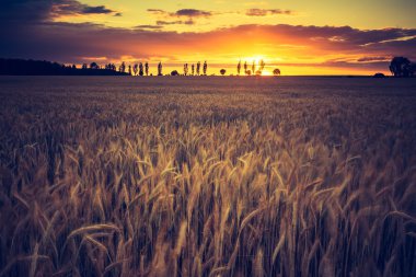 günbatımı Mısır alanın üzerinde