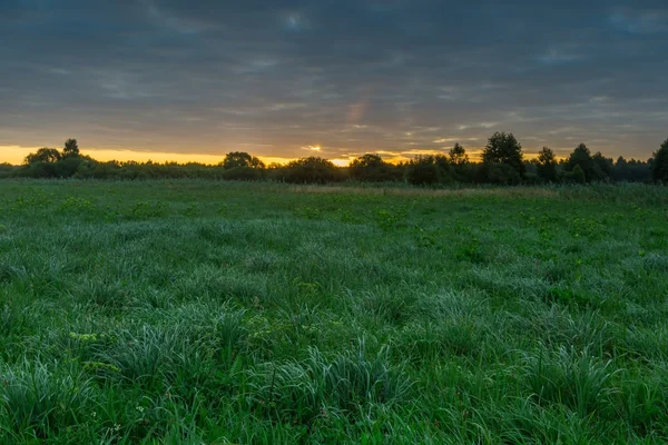 Zachmurzone niebo nad piękne lato łąka — Zdjęcie stockowe