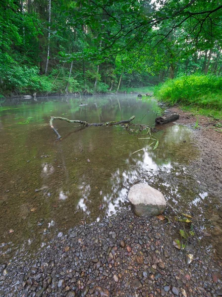 Beautiful wild river — Stock Photo, Image