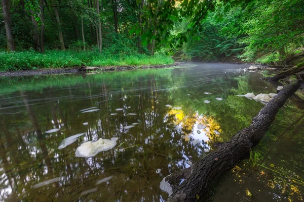 Beautiful wild river — Stock Photo, Image