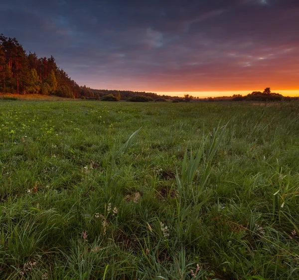 Sunrise over misty meadow — Stock Photo, Image