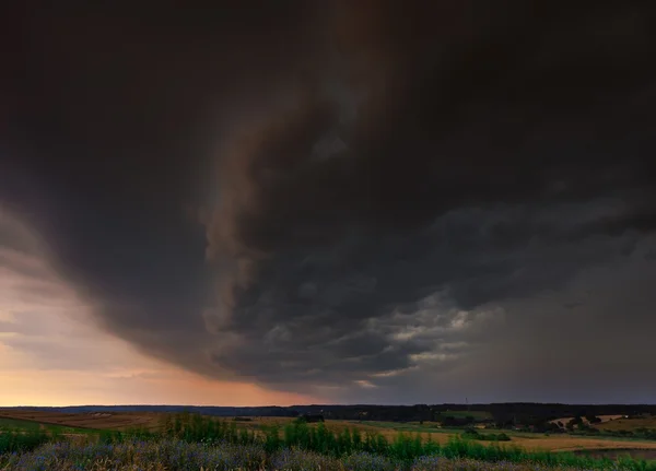 밀 밭 위의 구름. — 스톡 사진