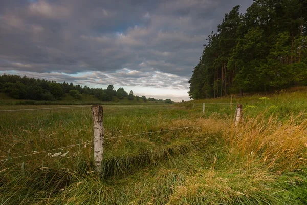 Sunrise over misty meadow — Stock Photo, Image