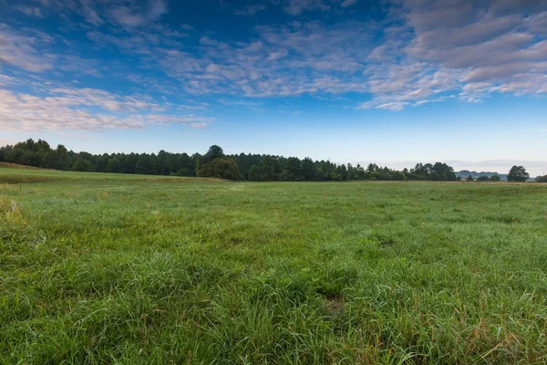 Beautiful sunrise over misty meadow — Stock Photo, Image