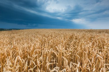 alan üzerinde fırtınalı gökyüzü