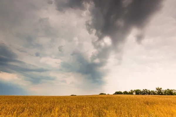 Cielo tempestoso sul campo — Foto Stock