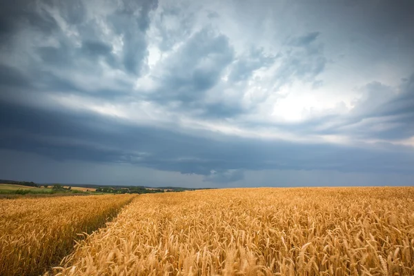 Stürmischer Himmel über dem Feld — Stockfoto