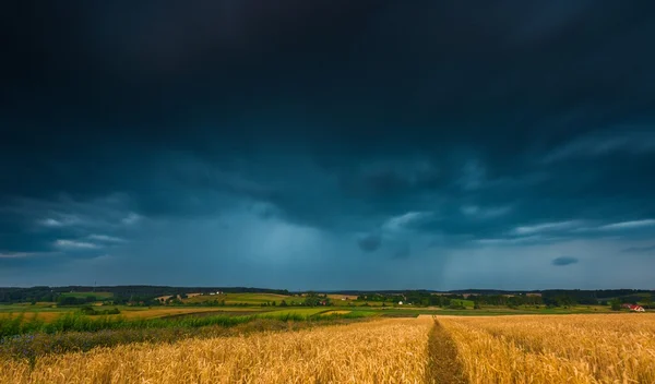 Stürmischer Himmel über dem Feld — Stockfoto