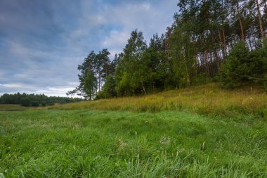 çayır üzerinde güzel gündoğumu