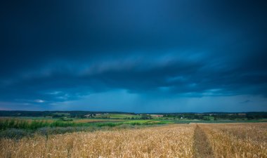 Fırtına bulutları buğday alanın üzerinde.