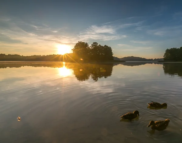 Belo nascer do sol sobre o lago nebuloso . — Fotografia de Stock