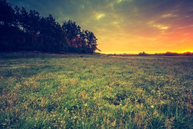 sabah çayır ile güzel manzara