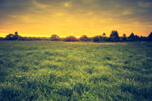 美丽的风景，用早上草甸 — 图库照片