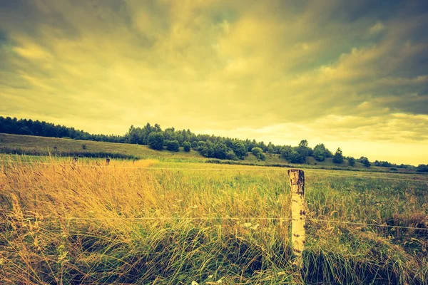 朝の草原の美しい風景 — ストック写真