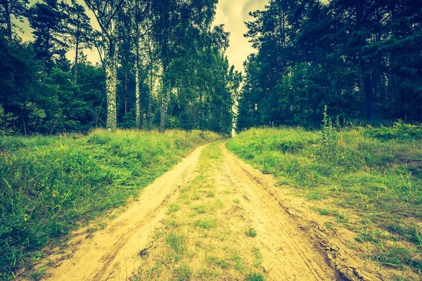 Bela paisagem com prado matinal — Fotografia de Stock