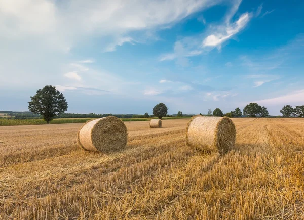 Champ de chaume avec balles de paille — Photo