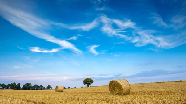 Campo de restolho com fardos de palha — Fotografia de Stock