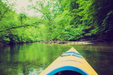 Polonya Krutynia nehir kanosu