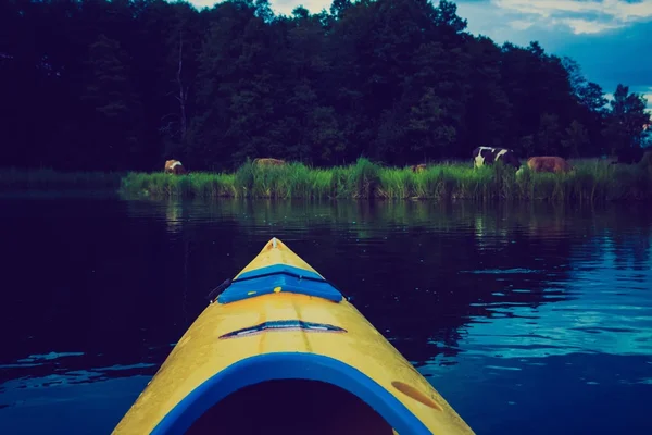 Kajakpaddling vid Krutynia-floden i Polen — Stockfoto