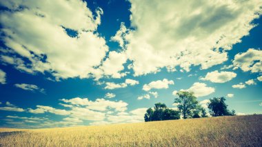 Beyaz bulutlar ile mavi gökyüzü altında anız alanının Vintage Fotoğraf