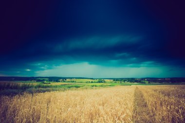 Fırtına bulutları buğday alanın üzerinde Vintage Fotoğraf