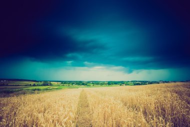 Fırtına bulutları buğday alanın üzerinde Vintage Fotoğraf