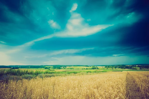 Vintage foto de nuvens de tempestade sobre o campo de trigo — Fotografia de Stock