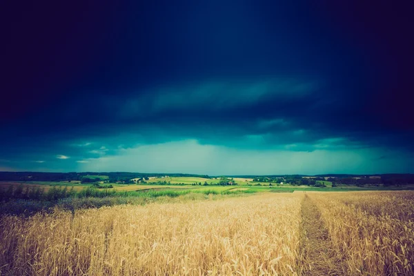 Vintage foto di nuvole di tempesta sul campo di grano — Foto Stock
