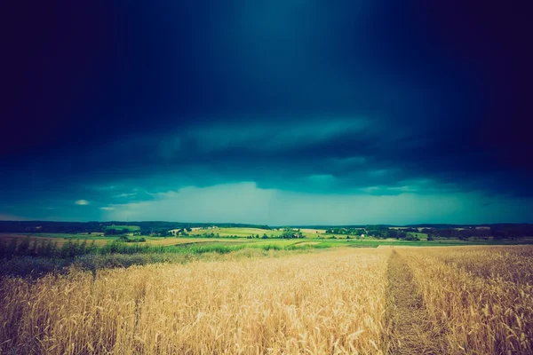 Vintage foto di nuvole di tempesta sul campo di grano — Foto Stock