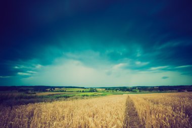 Fırtına bulutları buğday alanın üzerinde Vintage Fotoğraf