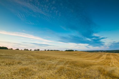 kırsal manzara Lehçe