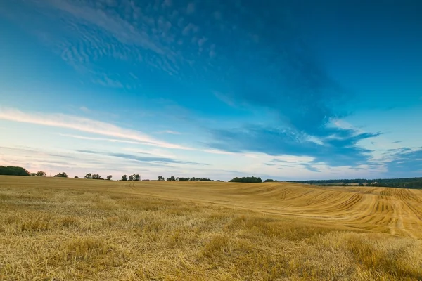 kırsal manzara Lehçe