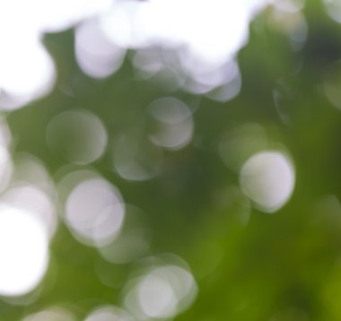 Doğal soyut arkaplan