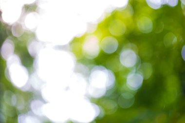 Doğal soyut arkaplan