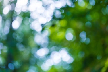 Doğal soyut arkaplan