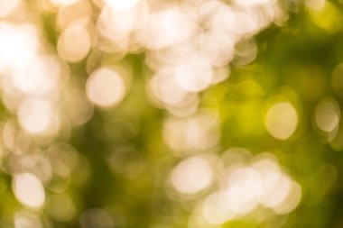 Doğal soyut arkaplan