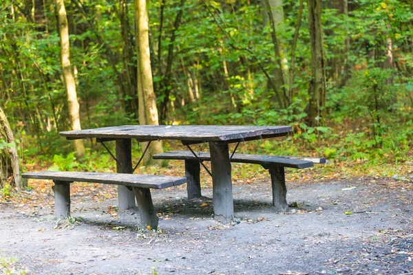 Скамейки и стол в лесу — стоковое фото