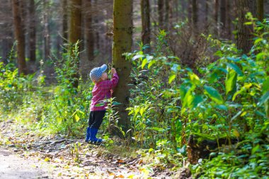 Çalışan ve ormanda yaz oynarken küçük çocuk.